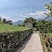 Cappelletta dei Saioli