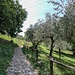 Sentiero del Viandante