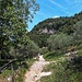 Sentiero del Viandante