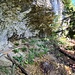 Weitere interessante Wege hinauf