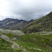 Weg an Gletscherschliff und Wollgraswiesen vorbei