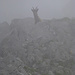 [https://www.youtube.com/watch?v=NBQkHTPV_C8 Smoke gets in your eyes]: trübe Aussichten auch weiter oben, wo ein Steinbock den Einstieg der im Führer beschriebenen Berggängerroute zum E-Gipfel bewacht (Foto vom 17.7.2021)