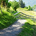 Wanderweg, hinter dem letzten Baum die Kneipp-Anlage