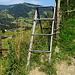 Steighilfe