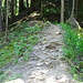 hier führt der Wanderweg weiter