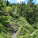 Aufstieg zum Langeckberg: Wanderweg zum Sattel