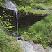 Der hintere Bach, der von Rotzi hinunterfliesst, bildet etwas vor der Einmündung diesen kleinen Wasserfall.