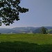 Vom Waldrand oberhalb von Buch bietet sich eine reizvolle Aussicht. Der trüben Luft ist es zu verdanken, dass der Churzenberg für einmal horizontbildend ist.