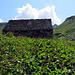 Alpe Naga
