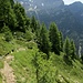 Alla forcella, si prende l'evidente sentiero non marcato che rientra in Valle di Cresciano transitando da tre alpeggi.