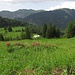 Hirschwangalpe, diesmal ohne Schumpen:-( Auch die Jägerhütte ist dieses Jahr nicht bewirtschaftet. Es ist einfach nichts mehr normal:-(

Alpe dell`Hirschwang, quest`anno senza mucche? Anche la Jägerhütte quest`anno non è gestita. Niente è più normale da un anno e mezzo. Peccato:-(