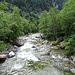 dem Wildbach Calancasca scheint es über weite Strecken ein wenig an Charme zu fehlen, er hat aber auch schöne Abschnitte