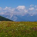 Am Krimpenbachsattel,  Blick zum Wettersteingebirge