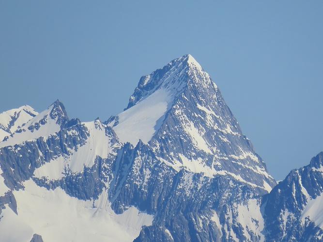 Gross Grünhorn im Zoom Fotos