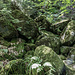 Die Felsen setzen sich linkerhand in großen, verkeilt liegenden Blöcken fort. 