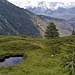 Sullo sfondo le bianche Dolomiti di Brenta in primo piano l'acqua nera di una pozza circondata dal verde del prato.