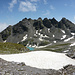 Wildseehörner