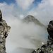 Sichler im Nebel