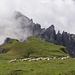 am Hochtennbodensteig