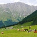 Gleirschhöfe und Peider Spitze
