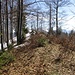 Gipfelaufbau des Mühlprachkopfs