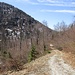 Rückblick auf den Abstiegsweg vom Jochberg