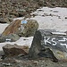 Hier teilt sich der Weg: in Ermangelung eines Klettersteig-Sets nehme ich den linken Weg.
