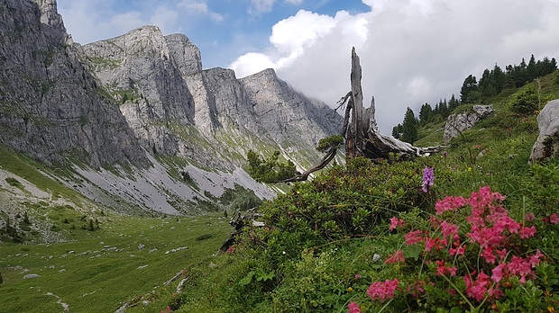 Seehore von der anderen Seite. Südwände.