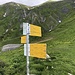 Schlussanstieg zum Grand Col Ferret.