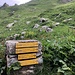 Anstieg zur Refuge Elena.