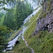 Nur ein schmales Steiglein führt oberhalb der verfallenen Grünwaldalm hinüber zur Ofenrinne.