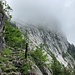 vis-à-vis der (Kletter)-Wände der Walpersbergflue leitet ein aus dem Fels herausgebrochener Steig ...