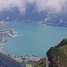 Blick zum Urnersee mit dem naturnahen Reussdelta, einem Schweizer Pionierwerk im naturnahen Wasserbau 