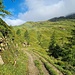 <b>Eccomi sulla strada che conduce al corte Foppa di Rèdich (1994 m). </b>