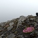 <b>Pizzo del Corvo (3015 m).</b>
