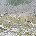 Leider mit schlechtem Zoom