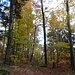 ... und herbstlichen Ambiente