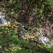 ... an kleinen Wasserfällen.