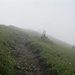 Schließlich wurde im Nebel das Gipfelkreuz sichtbar, ganz schwach neben dem kleinen Bäumchen in der Bildmitte.