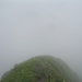 Beginn des Abstiegs auf der anderen Seite des Glatthorns, in den Nebel hinein.