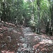 Sentiero che da Cragno sale verso il Bellavista