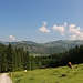 Blick hinaus zu den Chiemgauer Alpen