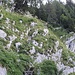 AMBIENTE in salita 