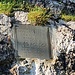 Targa alla gotta nella piana di Aip