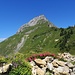 Fronalpstock