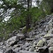 sul percorso sopra la cava