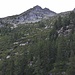 tra gli alberi si scorge una delle baite dell'Alpe Ella