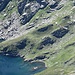 aquila in volo (zoomata)