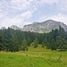 Blick vom Lärchenboden zur Gauschla