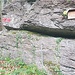 Abzweigung zum Schafgufel im Ragnatscherwald auf ca. 620m